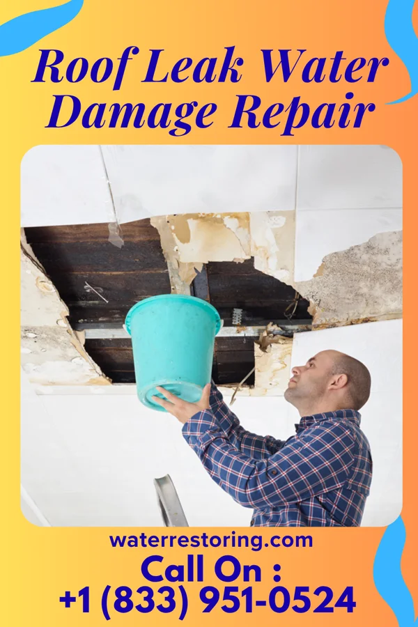 Roof Leak Water Damage Repair in Puryear, TN