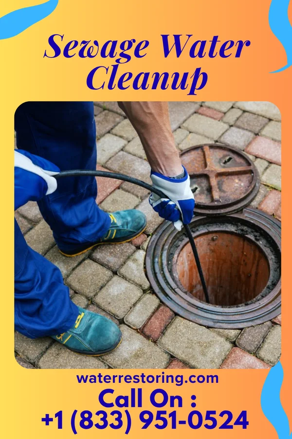 Sewage Water Cleanup in Puryear, TN